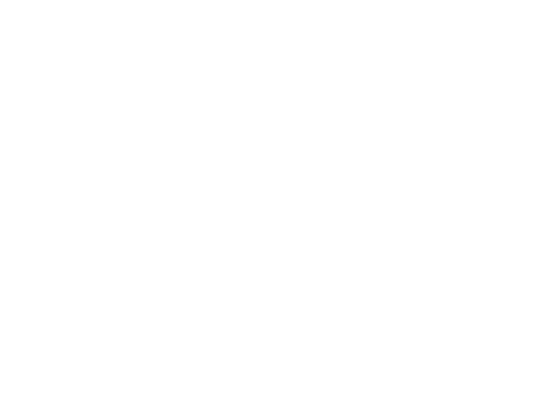 VegasNav Logo